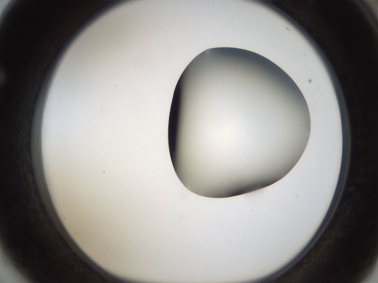folderID157_plateID1157_batchID3210_wellNum64_profileID1_d1_r63517_ef.jpg