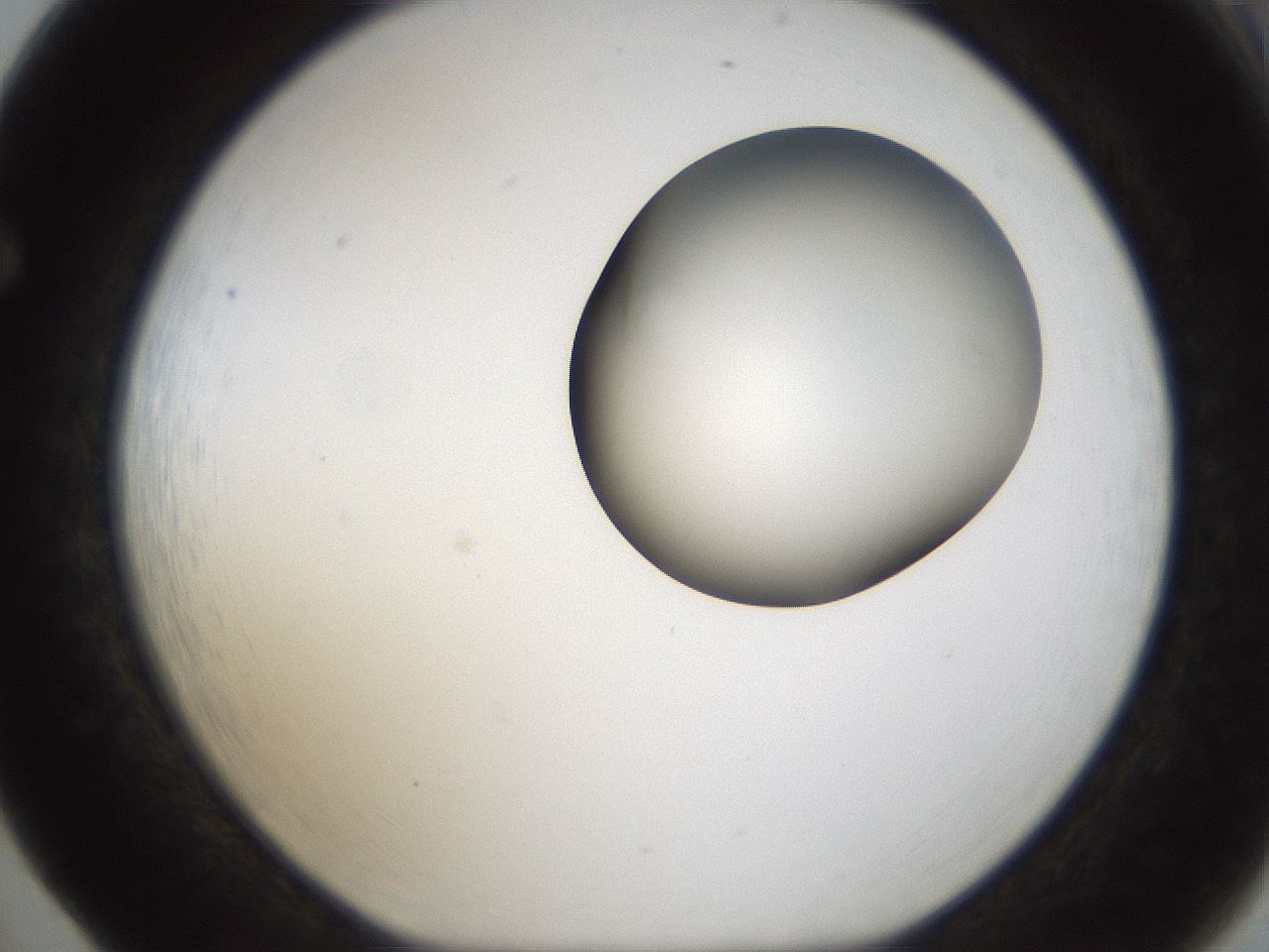 folderID157_plateID1157_batchID3210_wellNum65_profileID1_d1_r63519_ef.jpg