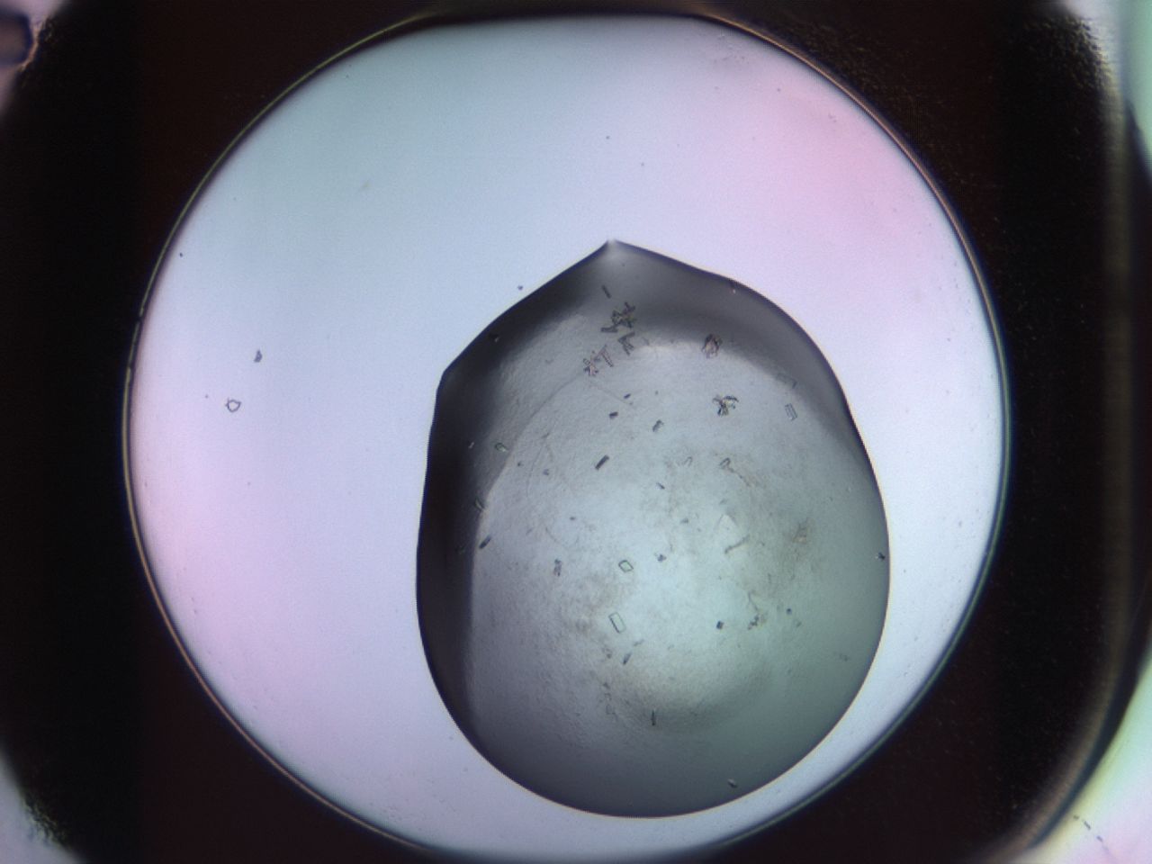 02hi_A2_ImagerDefaults_8.jpg