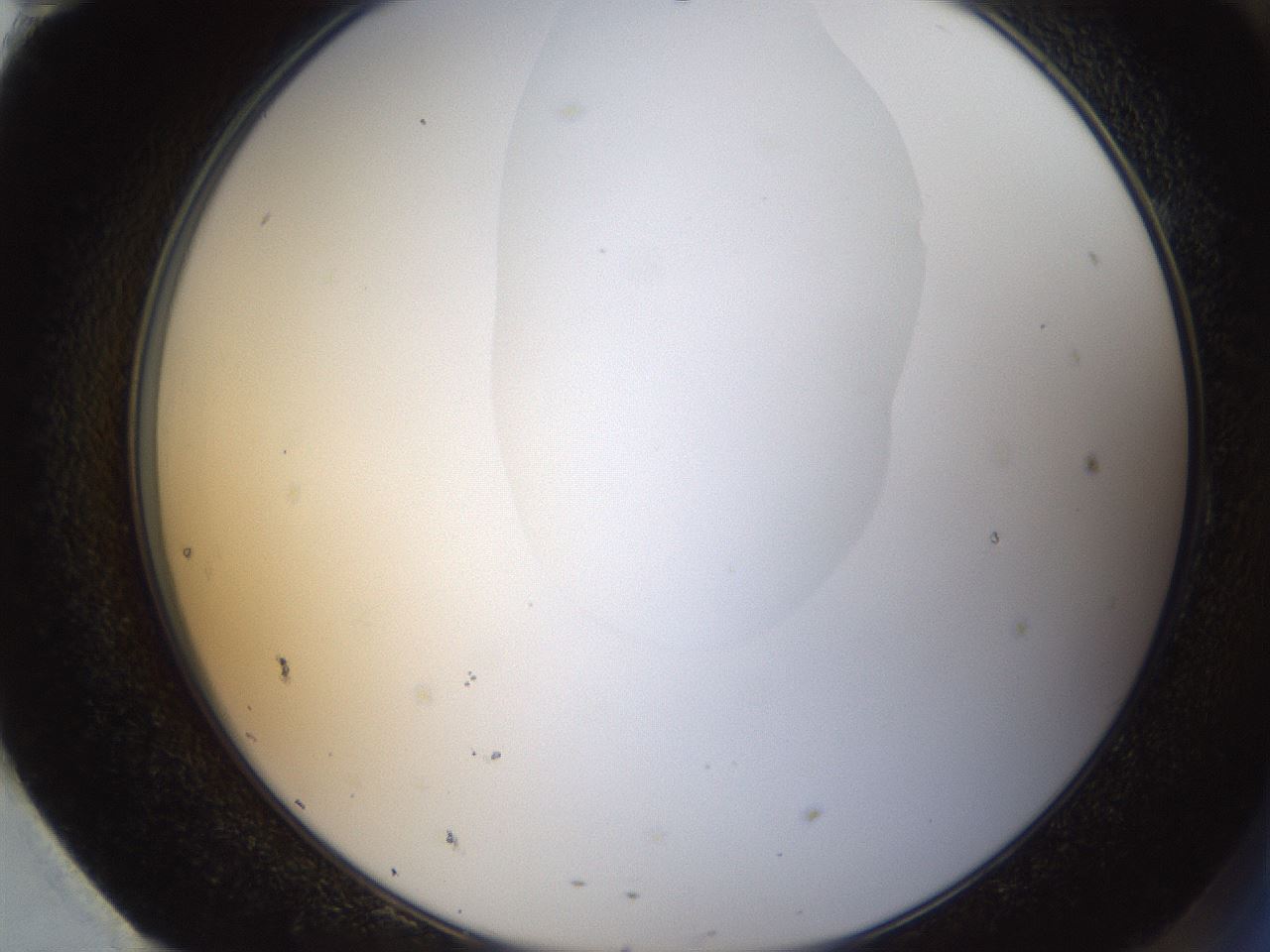 folderID157_plateID1157_batchID3210_wellNum95_profileID1_d2_r63580_ef.jpg