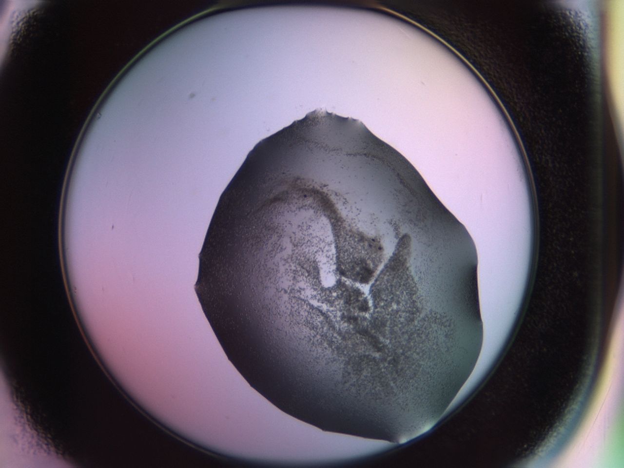 02hi_C3_ImagerDefaults_6.jpg