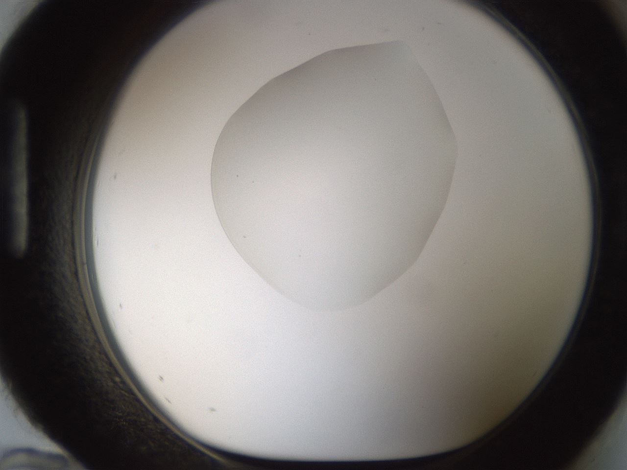 folderID157_plateID1157_batchID3210_wellNum96_profileID1_d1_r63581_ef.jpg