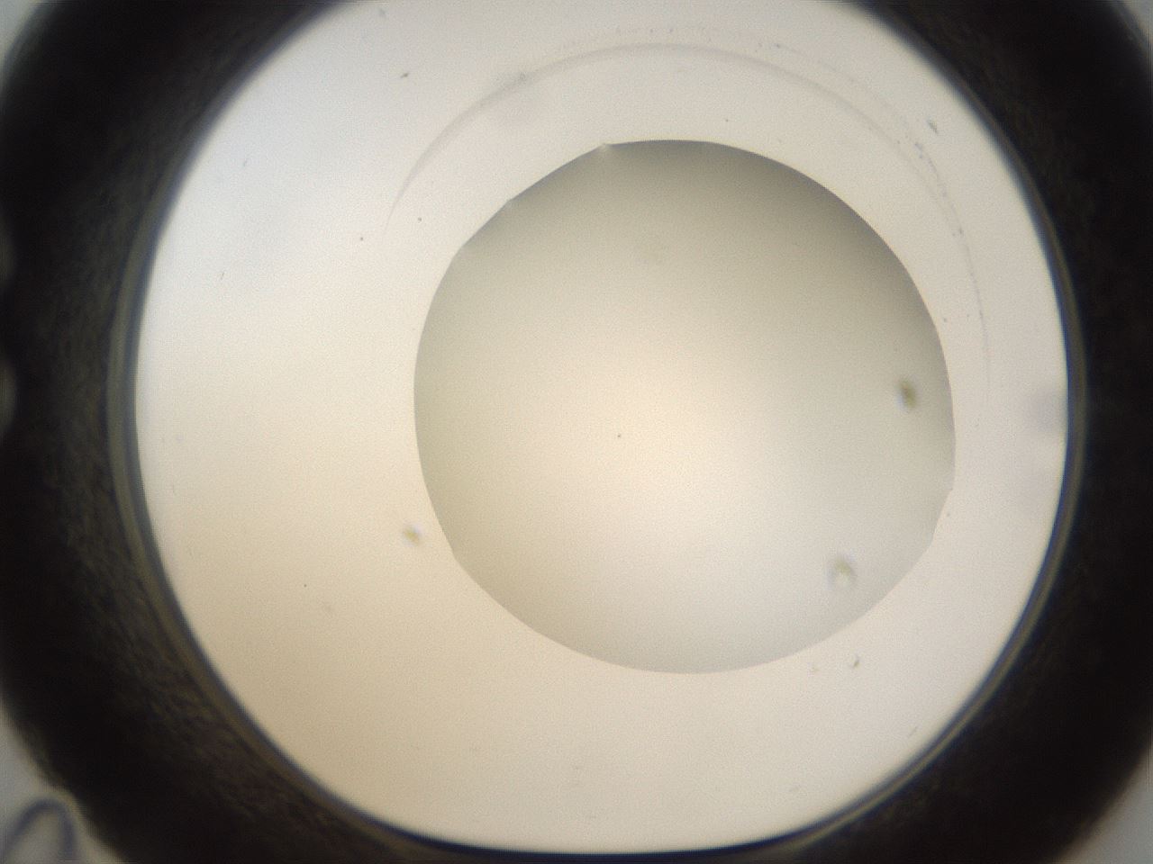 folderID158_plateID1158_batchID3207_wellNum35_profileID1_d1_r62883_ef.jpg