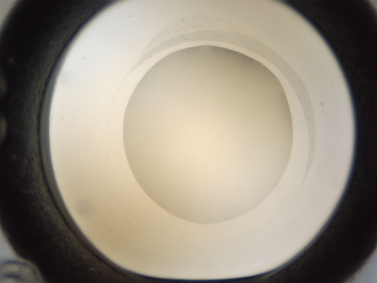 folderID158_plateID1158_batchID3207_wellNum36_profileID1_d1_r62885_ef.jpg