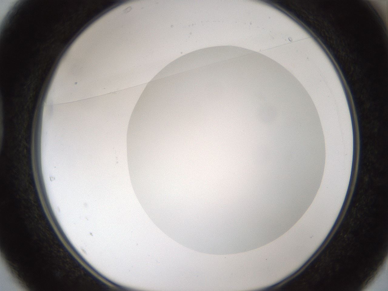 folderID158_plateID1158_batchID3207_wellNum37_profileID1_d1_r62887_ef.jpg