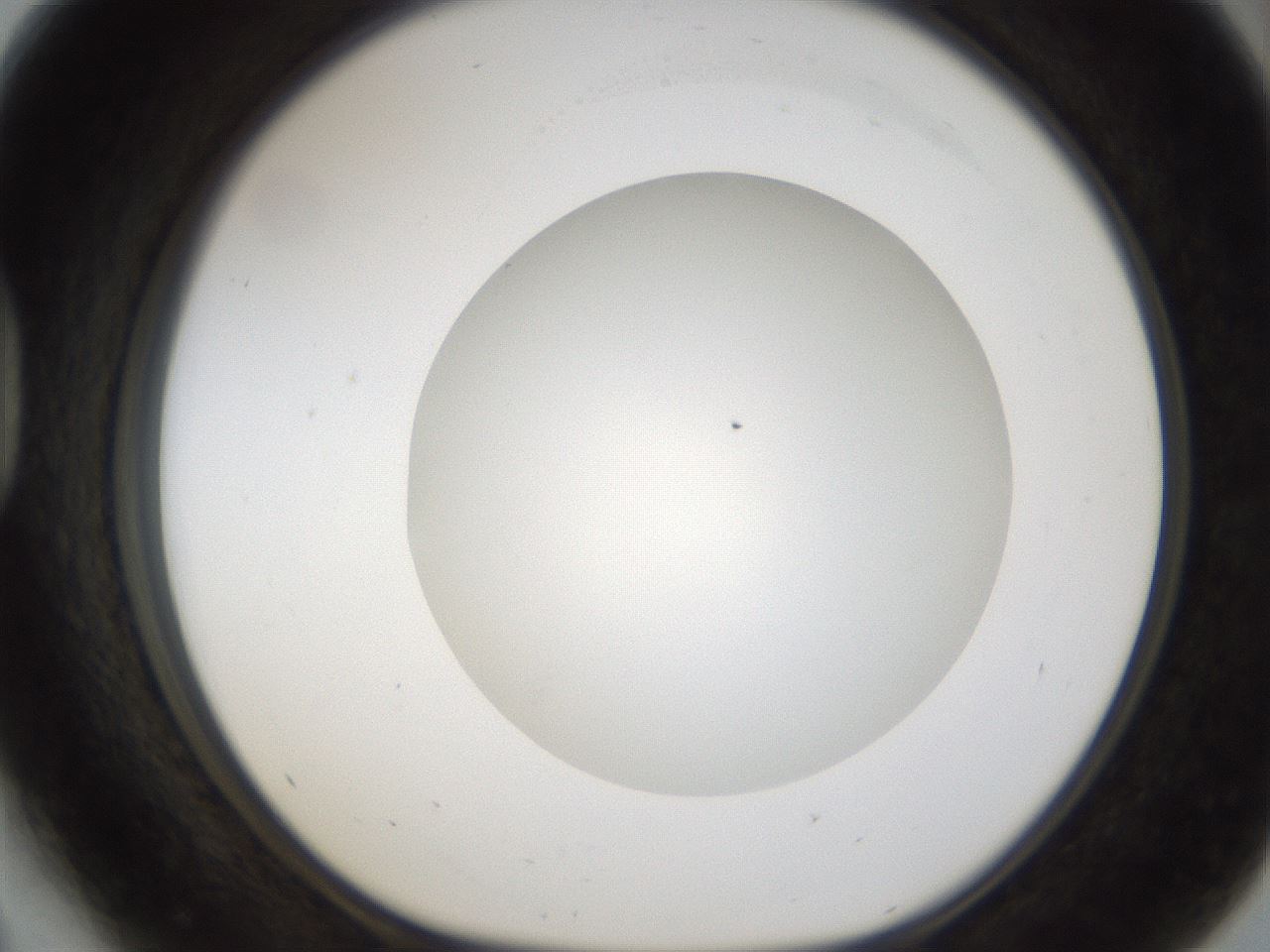 folderID158_plateID1158_batchID3207_wellNum41_profileID1_d1_r62895_ef.jpg