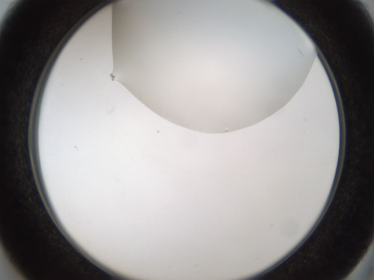 folderID158_plateID1158_batchID3207_wellNum37_profileID1_d2_r62888_ef.jpg