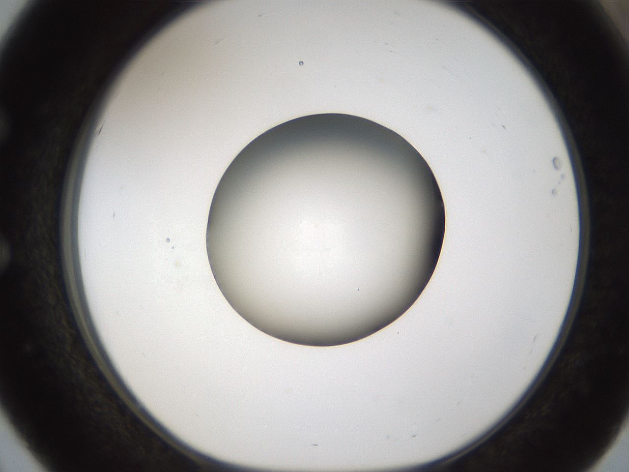 folderID158_plateID1158_batchID3207_wellNum51_profileID1_d1_r62915_ef.jpg