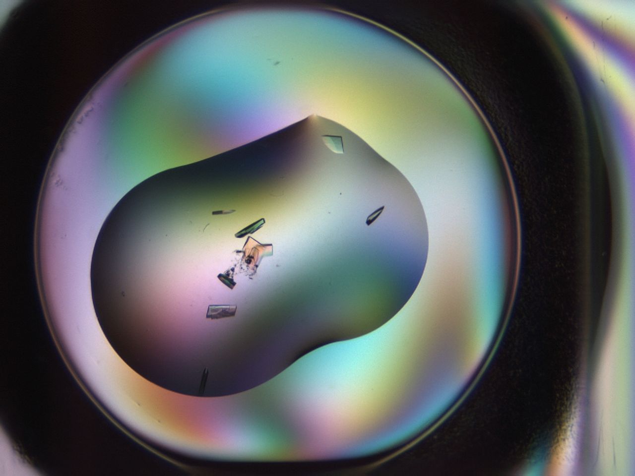 02hi_G1_ImagerDefaults_9.jpg