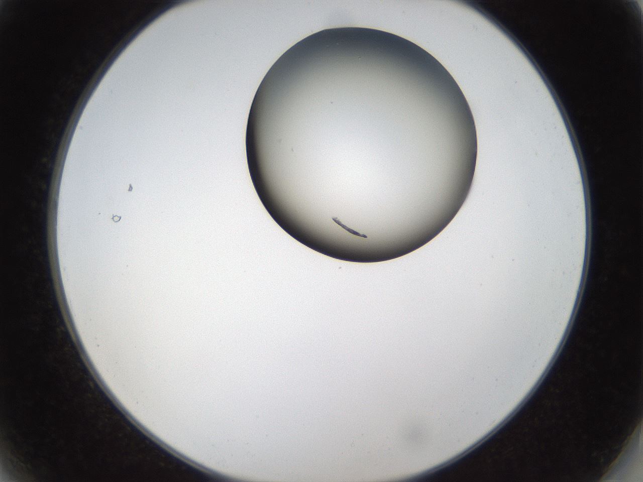 folderID159_plateID1159_batchID3197_wellNum2_profileID1_d2_r61858_ef.jpg