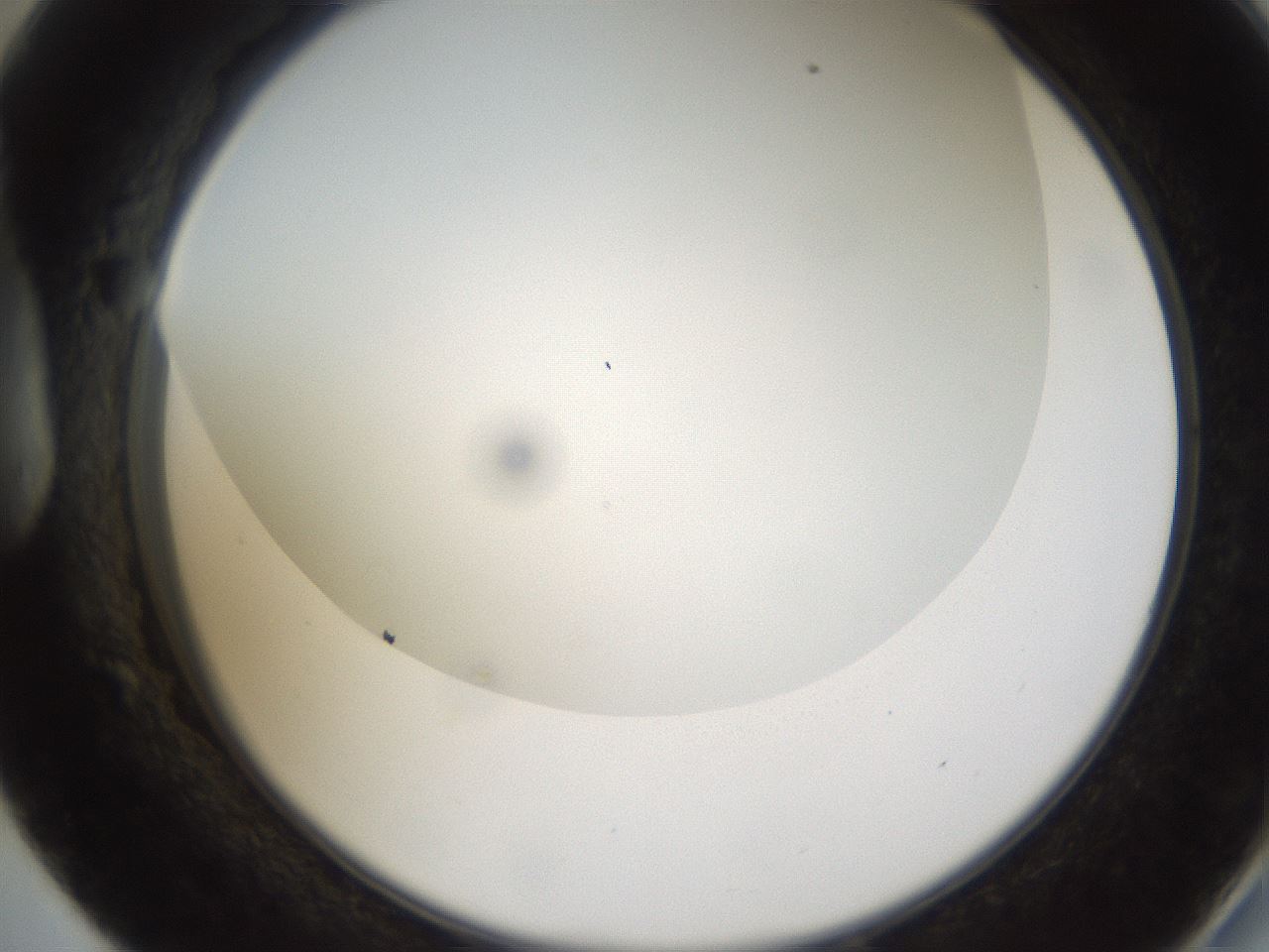 folderID158_plateID1158_batchID3207_wellNum57_profileID1_d2_r62928_ef.jpg