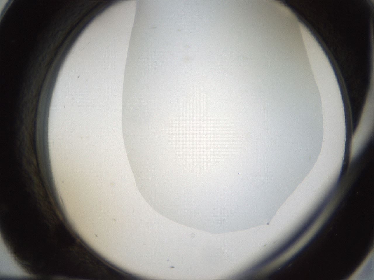 folderID158_plateID1158_batchID3207_wellNum69_profileID1_d2_r62952_ef.jpg