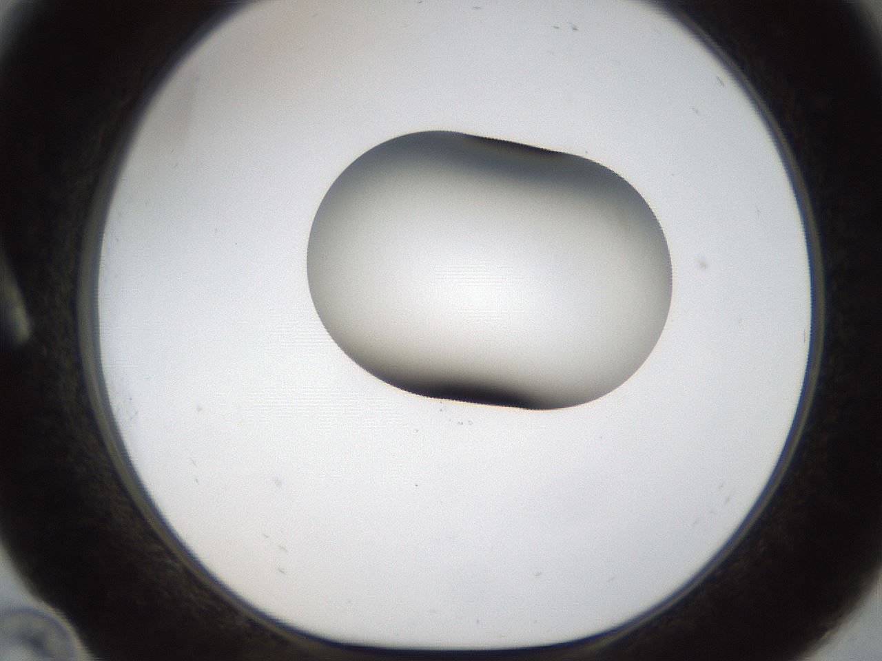 folderID159_plateID1159_batchID3197_wellNum10_profileID1_d1_r61873_ef.jpg