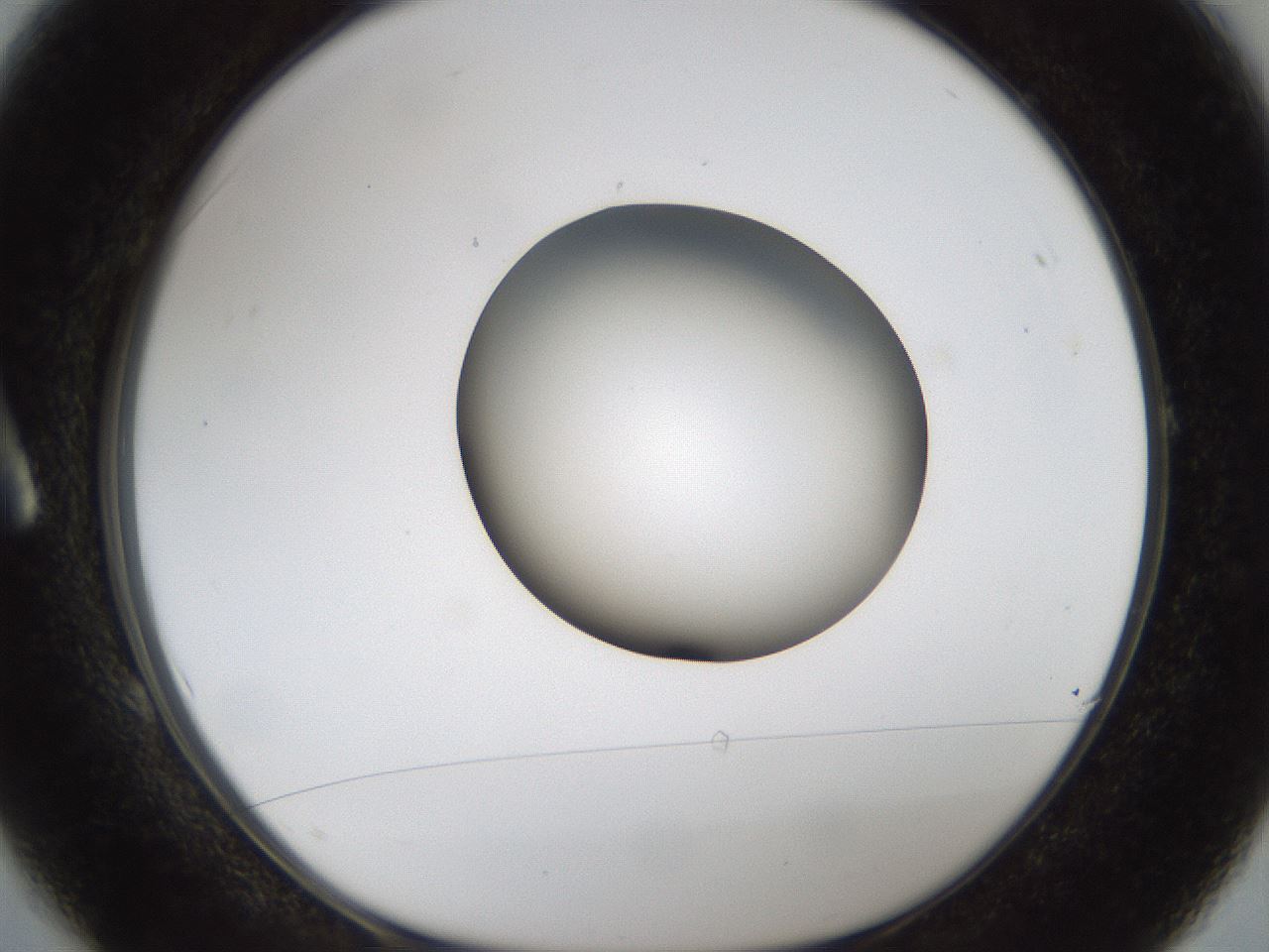 folderID159_plateID1159_batchID3197_wellNum1_profileID1_d1_r61855_ef.jpg