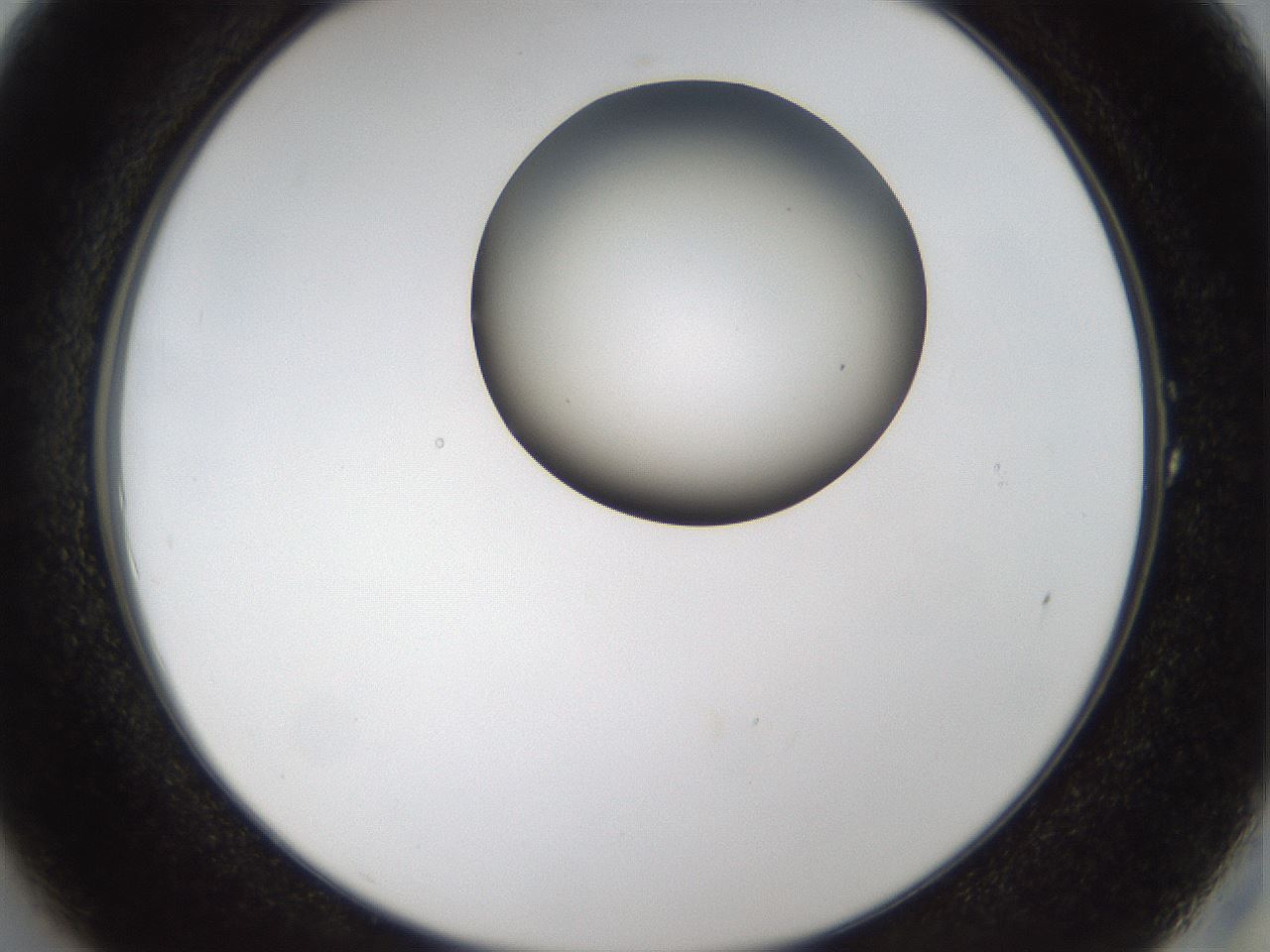 folderID159_plateID1159_batchID3197_wellNum1_profileID1_d2_r61856_ef.jpg