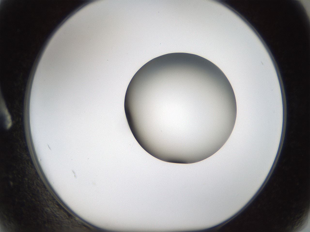 folderID159_plateID1159_batchID3197_wellNum2_profileID1_d1_r61857_ef.jpg