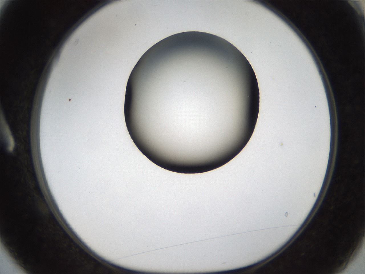 folderID159_plateID1159_batchID3197_wellNum3_profileID1_d1_r61859_ef.jpg