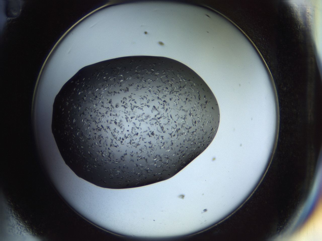02hj_D11_ImagerDefaults_6.jpg