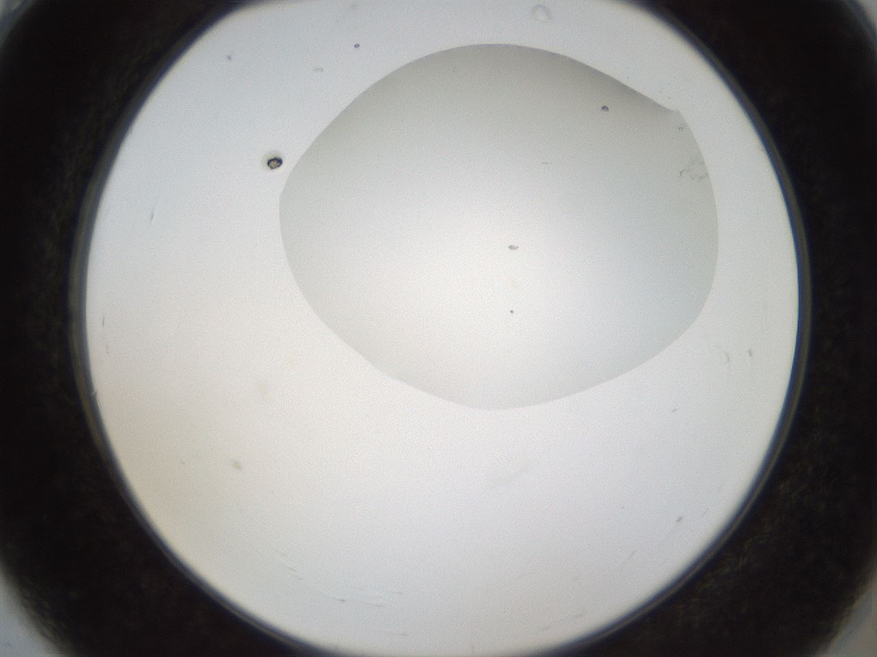 folderID159_plateID1159_batchID3197_wellNum4_profileID1_d2_r61862_ef.jpg