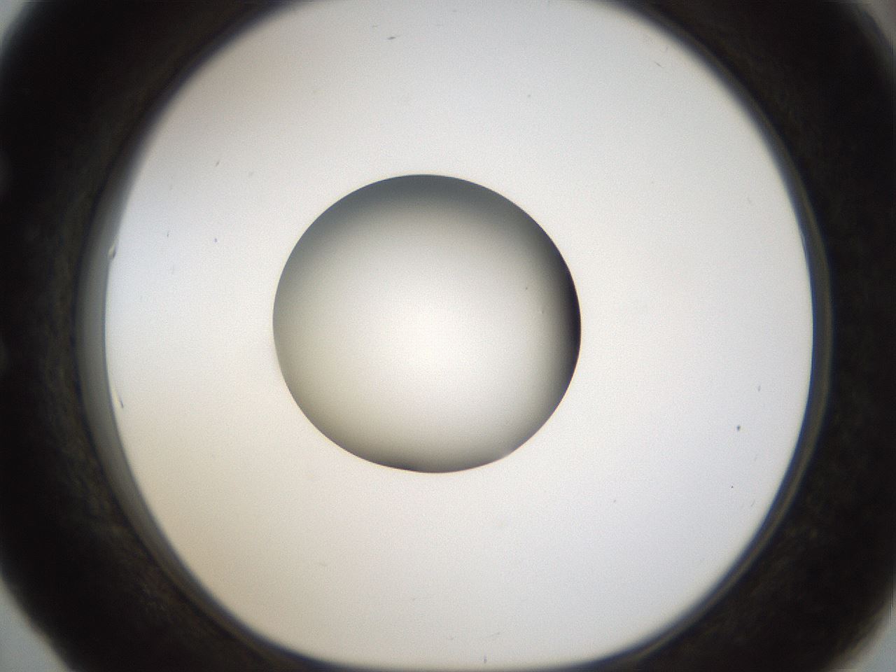folderID159_plateID1159_batchID3197_wellNum53_profileID1_d1_r61959_ef.jpg