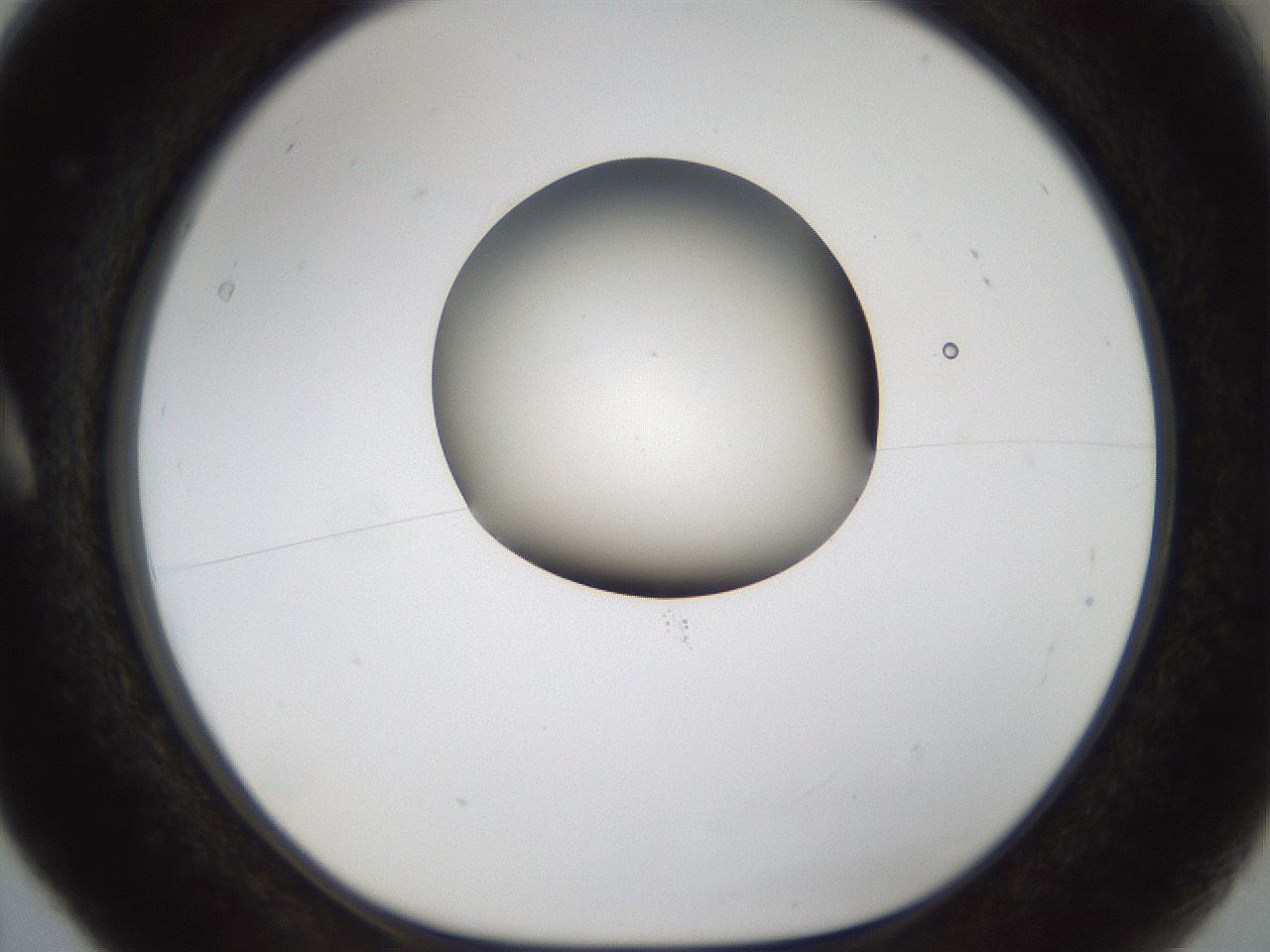 folderID159_plateID1159_batchID3197_wellNum5_profileID1_d1_r61863_ef.jpg