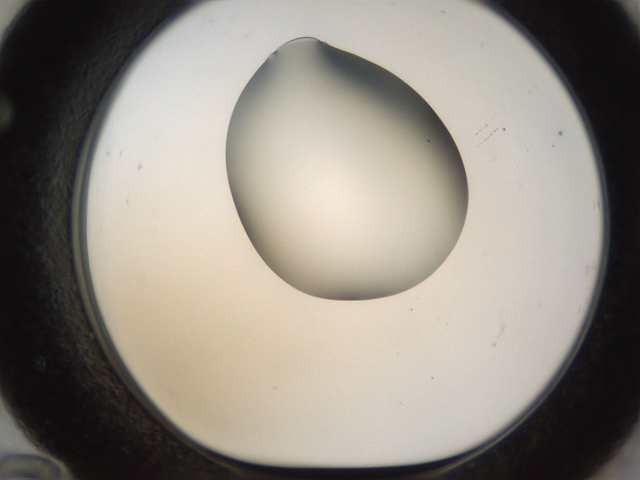 folderID159_plateID1159_batchID3197_wellNum72_profileID1_d1_r61997_ef.jpg