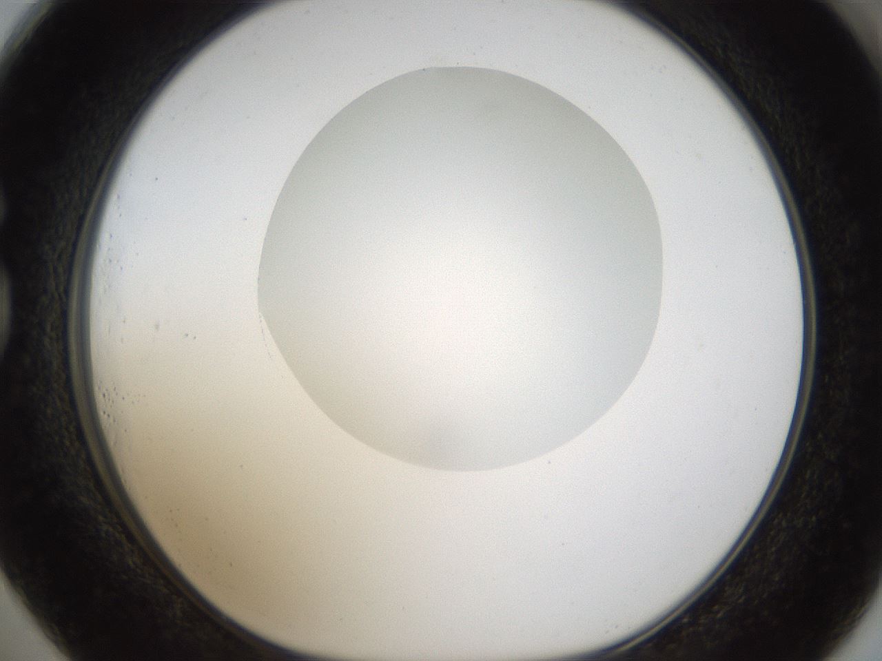 folderID159_plateID1159_batchID3197_wellNum73_profileID1_d1_r61999_ef.jpg