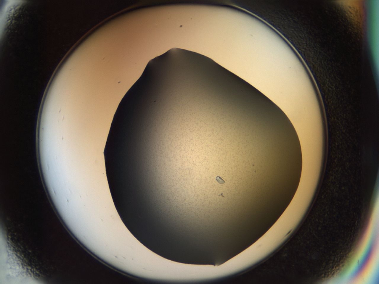 02hj_D8_ImagerDefaults_8.jpg