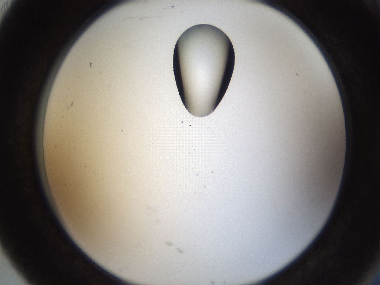 folderID159_plateID1159_batchID3197_wellNum91_profileID1_d2_r62036_ef.jpg