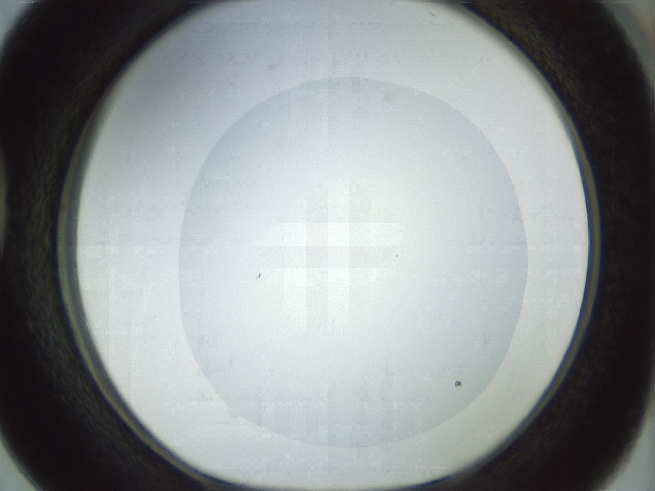 folderID15_plateID1015_batchID1886_wellNum38_profileID1_d1_r43017_ef.jpg