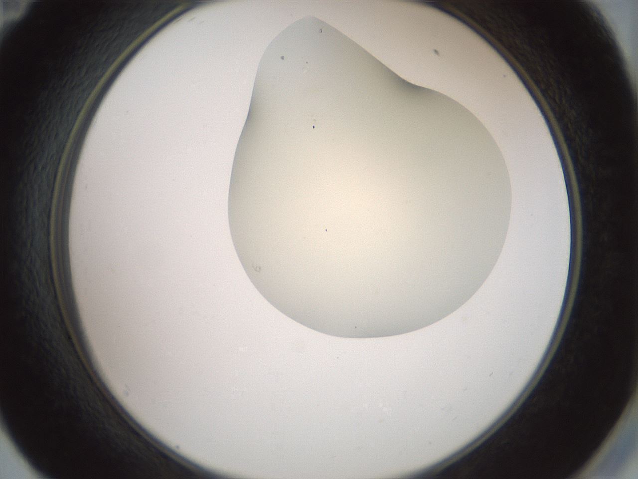 folderID15_plateID2015_batchID8963_wellNum59_profileID1_d2_r135583_ef.jpg