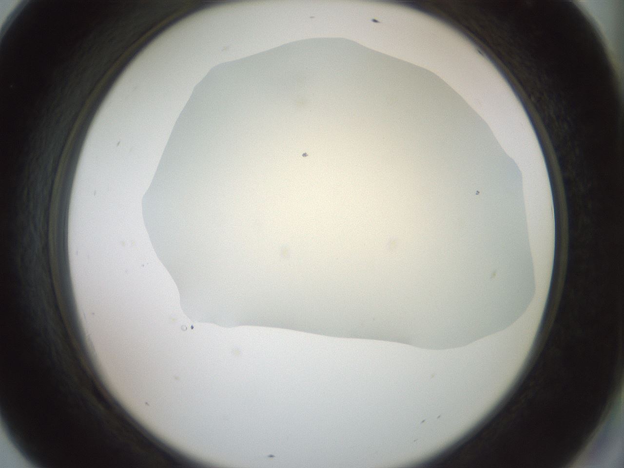 folderID15_plateID2015_batchID8963_wellNum69_profileID1_d2_r135603_ef.jpg
