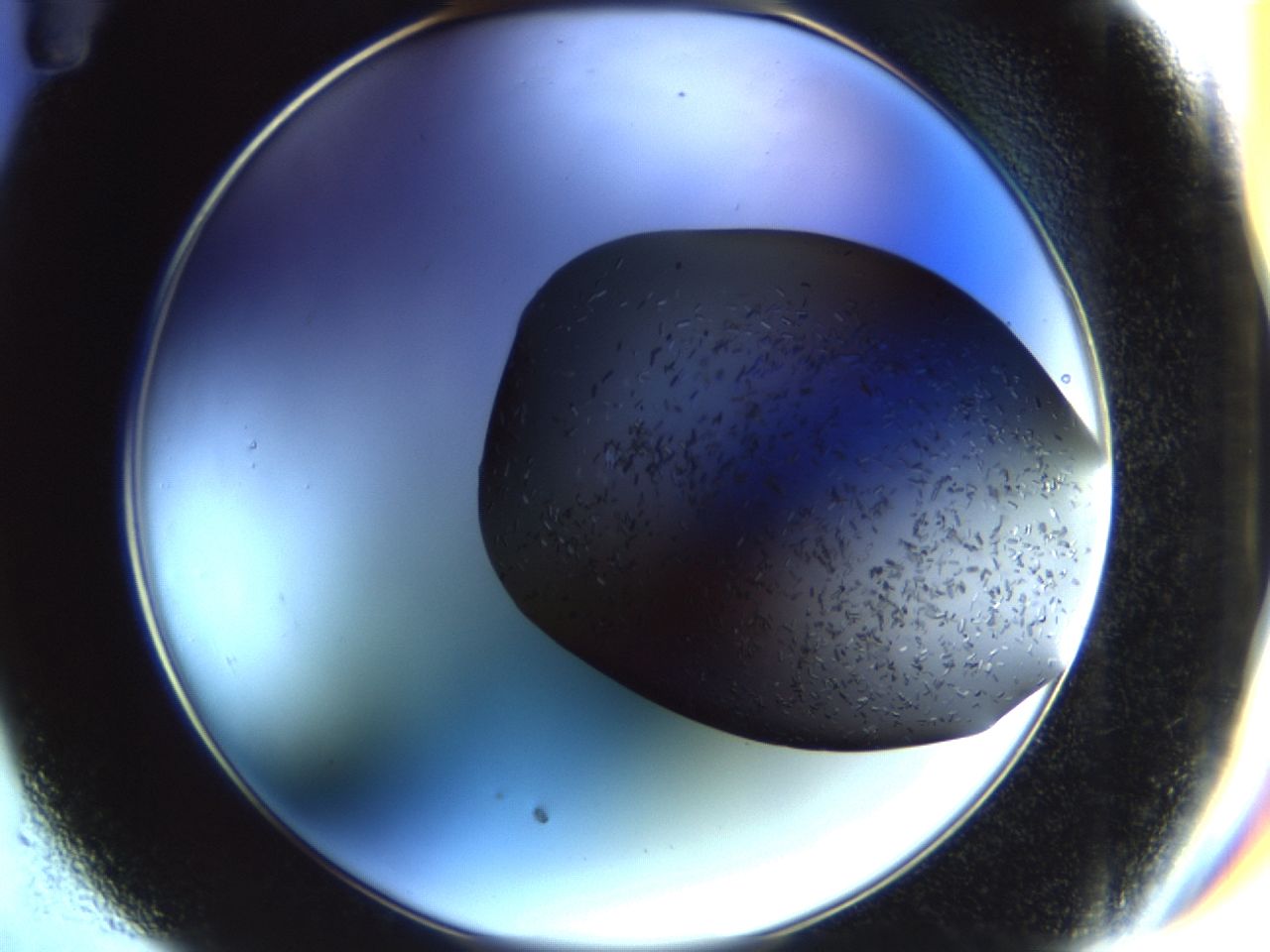02hj_C11_ImagerDefaults_6.jpg