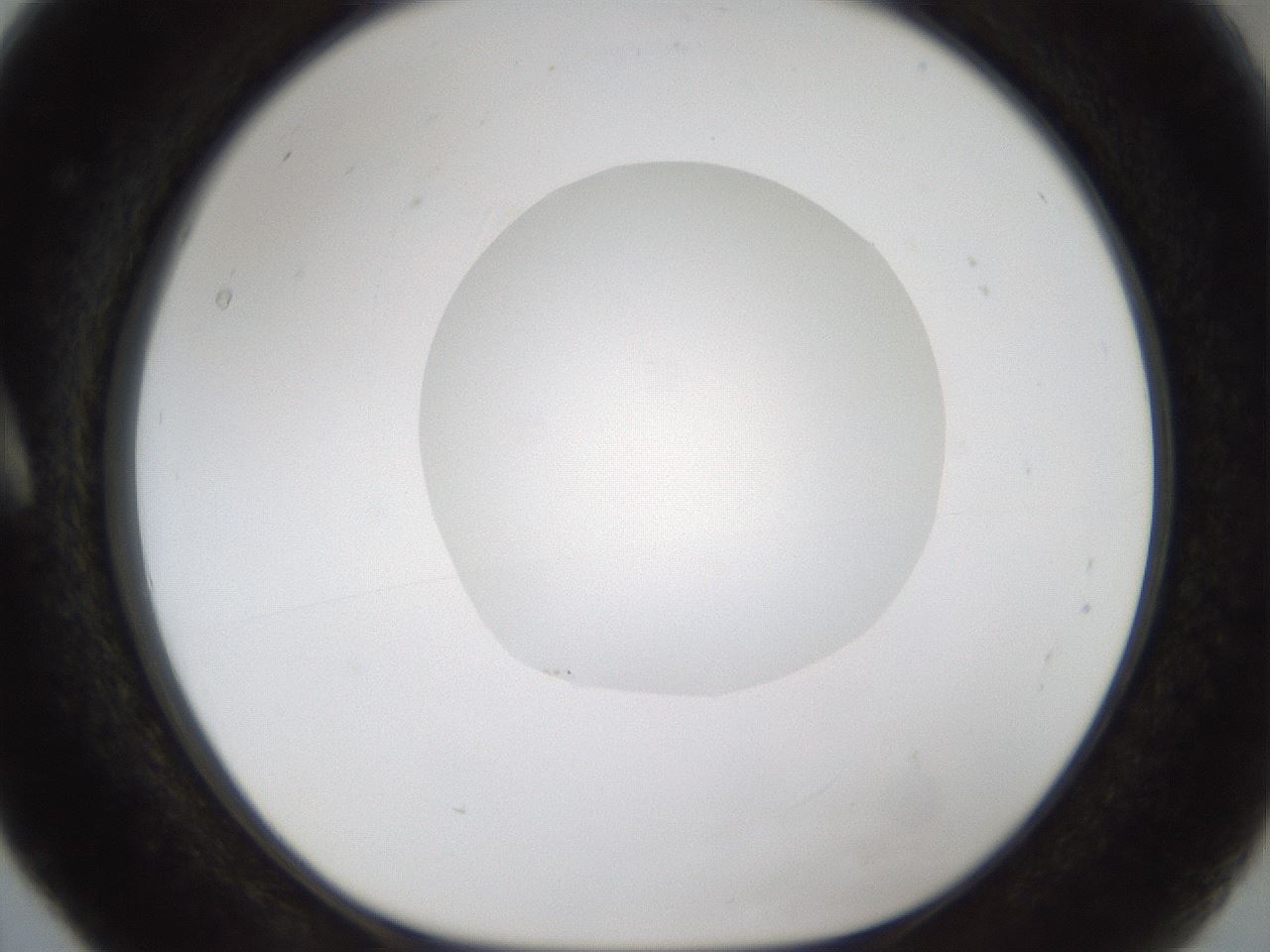 folderID160_plateID1160_batchID3204_wellNum5_profileID1_d1_r62247_ef.jpg