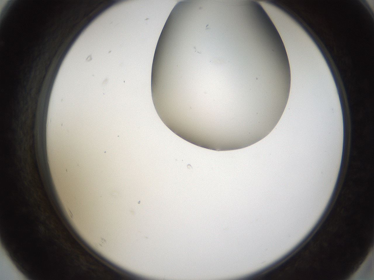folderID160_plateID1160_batchID3204_wellNum67_profileID1_d2_r62372_ef.jpg