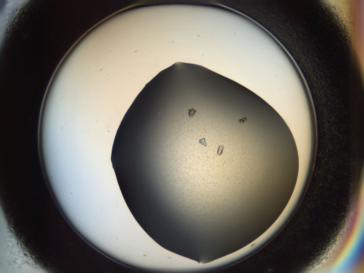 02hj_C8_ImagerDefaults_9.jpg