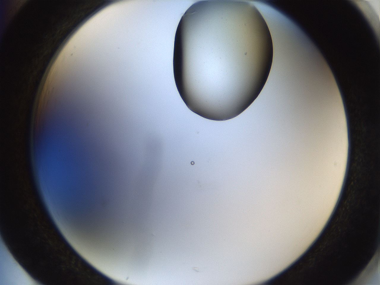 folderID160_plateID1160_batchID3204_wellNum85_profileID1_d2_r62408_ef.jpg