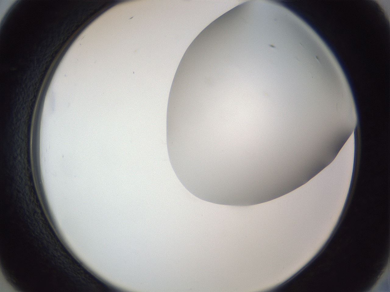 folderID161_plateID1161_batchID3209_wellNum26_profileID1_d2_r63250_ef.jpg