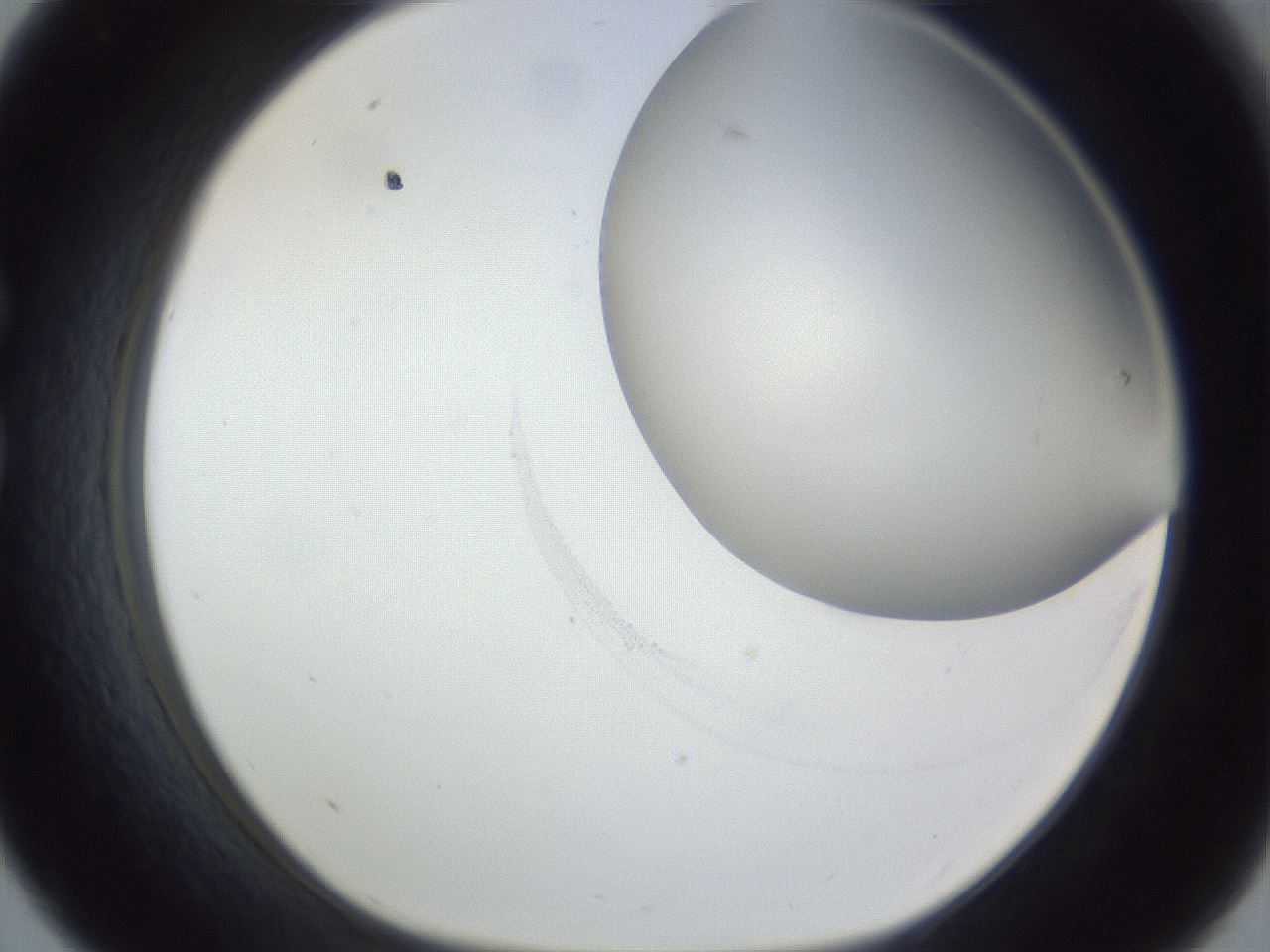 folderID161_plateID1161_batchID3209_wellNum33_profileID1_d1_r63263_ef.jpg