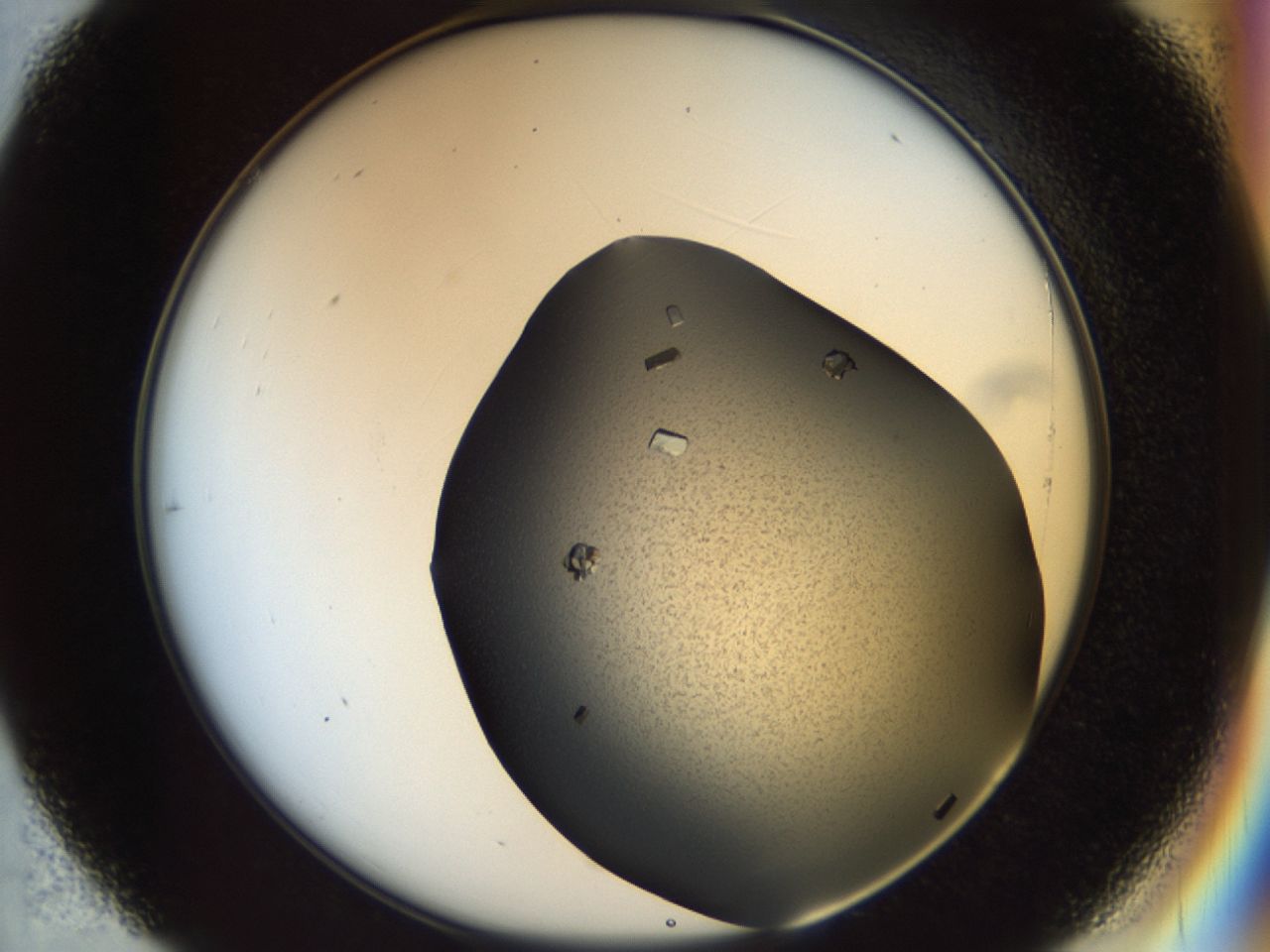 02hj_C7_ImagerDefaults_9.jpg