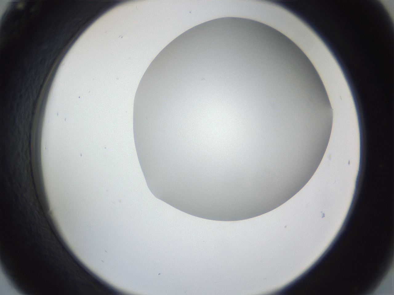 folderID161_plateID1161_batchID3209_wellNum30_profileID1_d2_r63258_ef.jpg