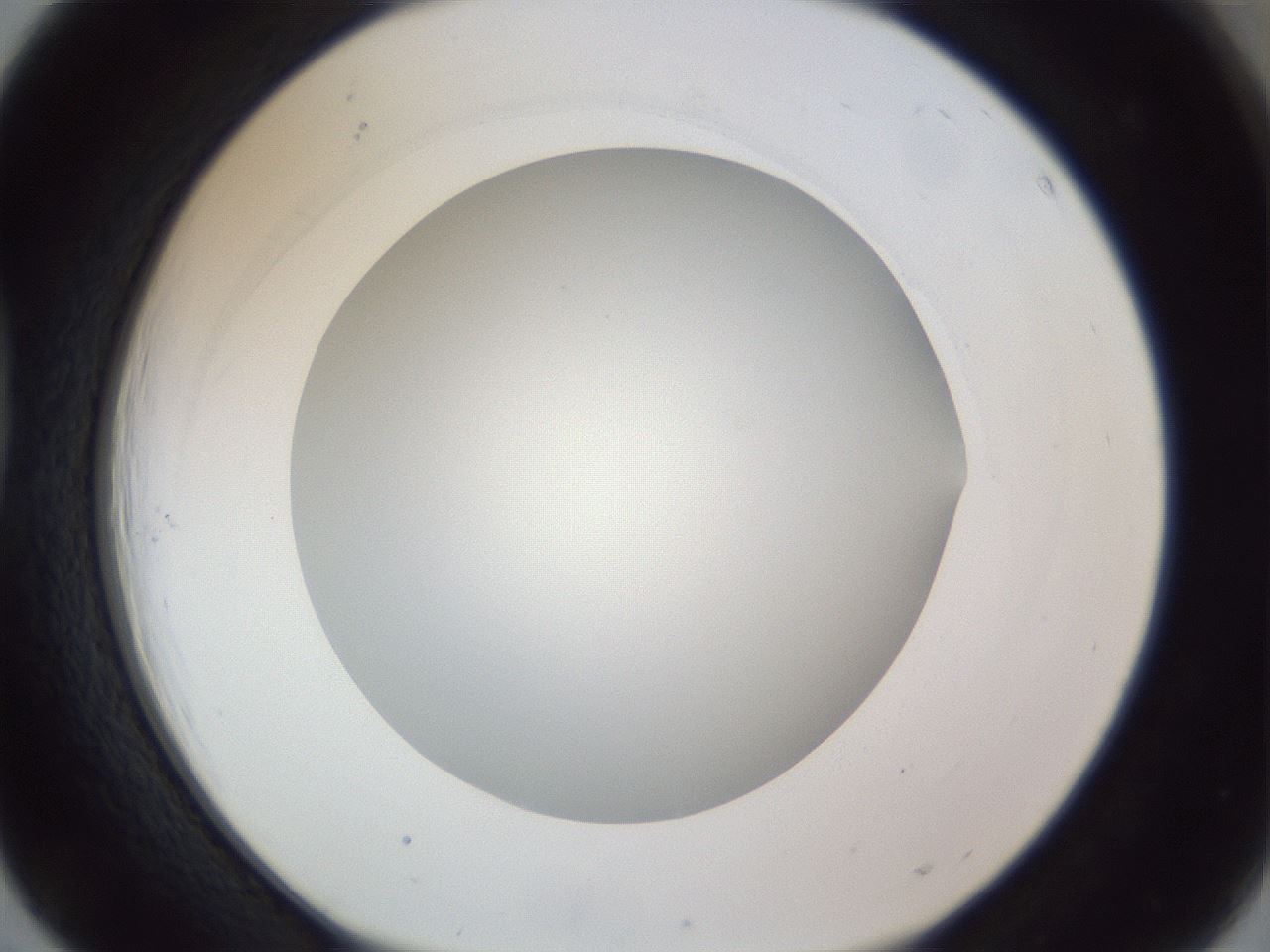 folderID161_plateID1161_batchID3209_wellNum39_profileID1_d1_r63275_ef.jpg