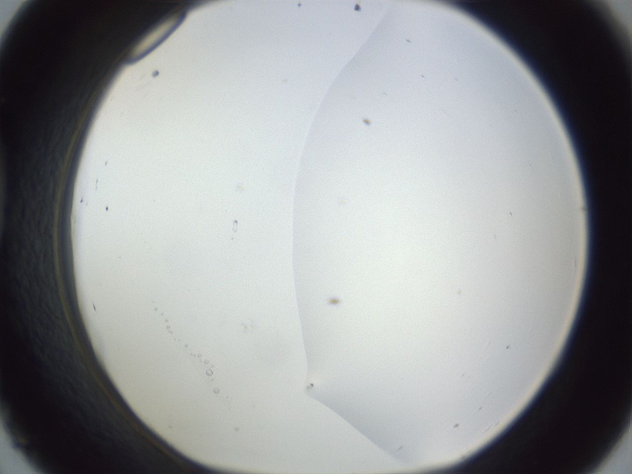 folderID161_plateID1161_batchID3209_wellNum45_profileID1_d1_r63287_ef.jpg