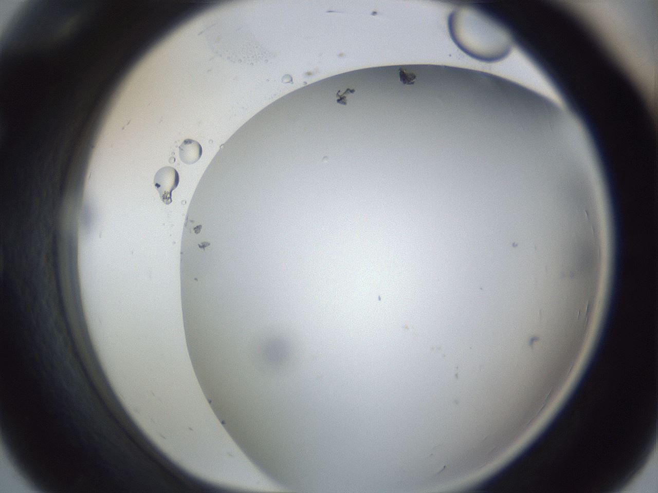 folderID161_plateID1161_batchID3209_wellNum56_profileID1_d1_r63309_ef.jpg