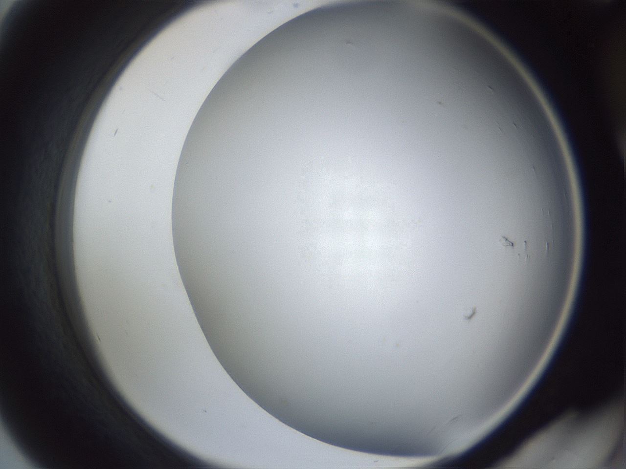 folderID161_plateID1161_batchID3209_wellNum56_profileID1_d2_r63310_ef.jpg