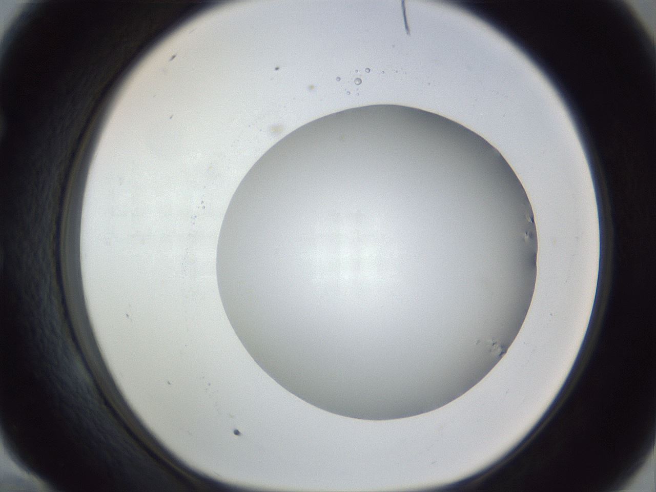 folderID161_plateID1161_batchID3209_wellNum58_profileID1_d1_r63313_ef.jpg