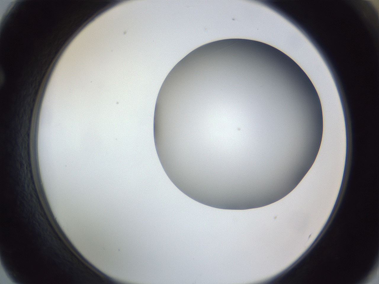 folderID161_plateID1161_batchID3209_wellNum62_profileID1_d1_r63321_ef.jpg