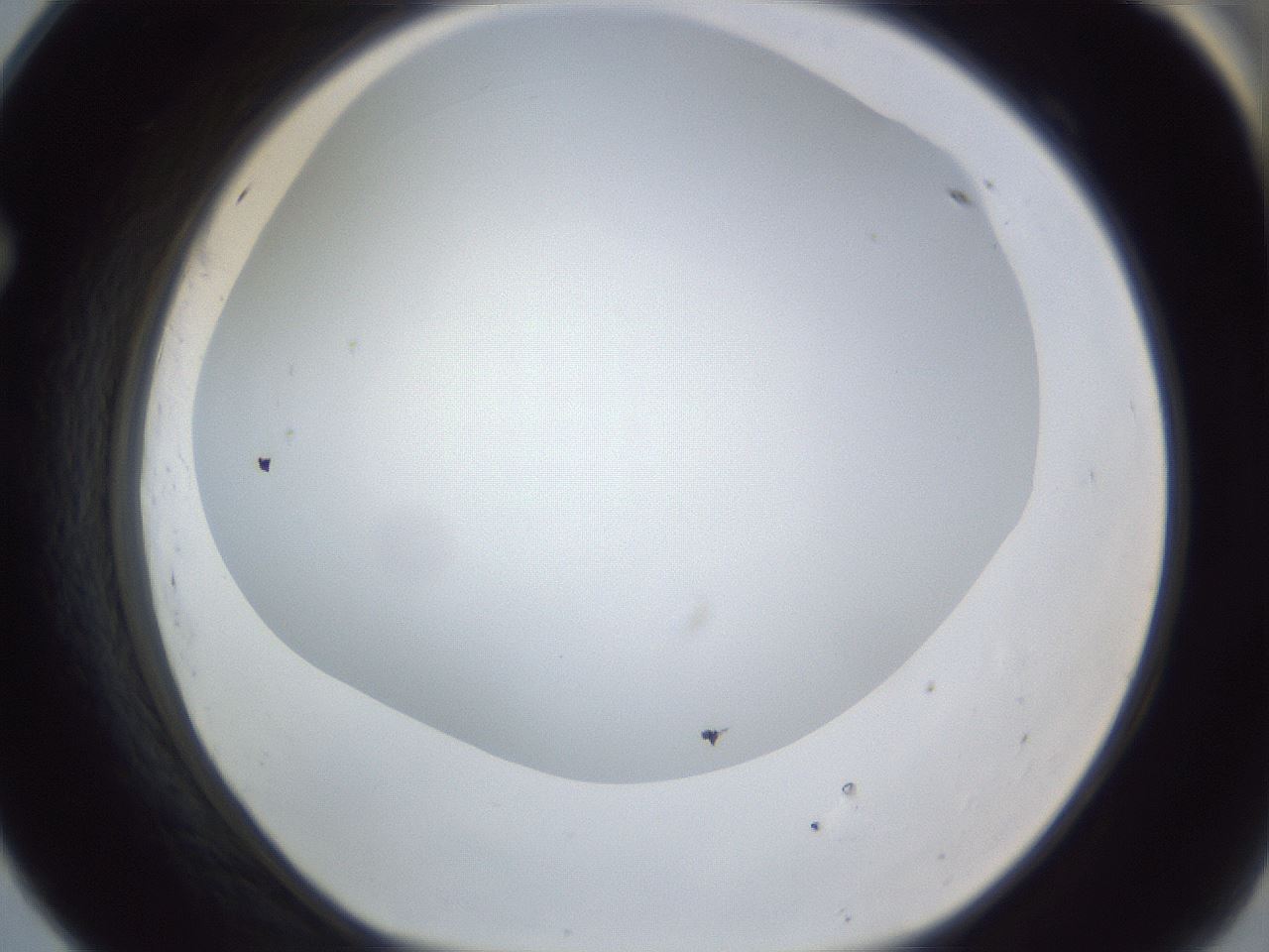 folderID161_plateID1161_batchID3209_wellNum69_profileID1_d1_r63335_ef.jpg
