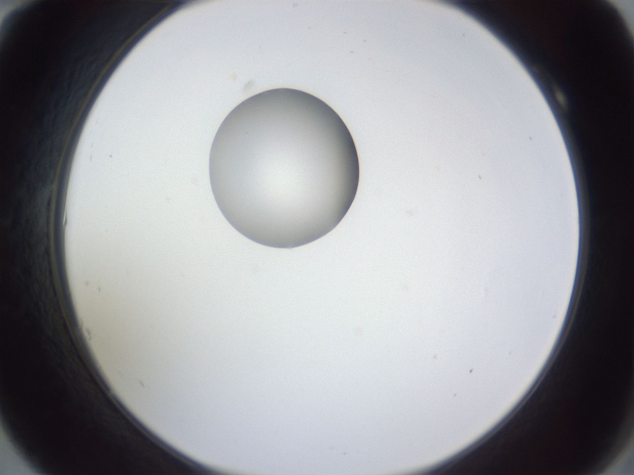 folderID162_plateID1162_batchID3203_wellNum10_profileID1_d2_r62066_ef.jpg