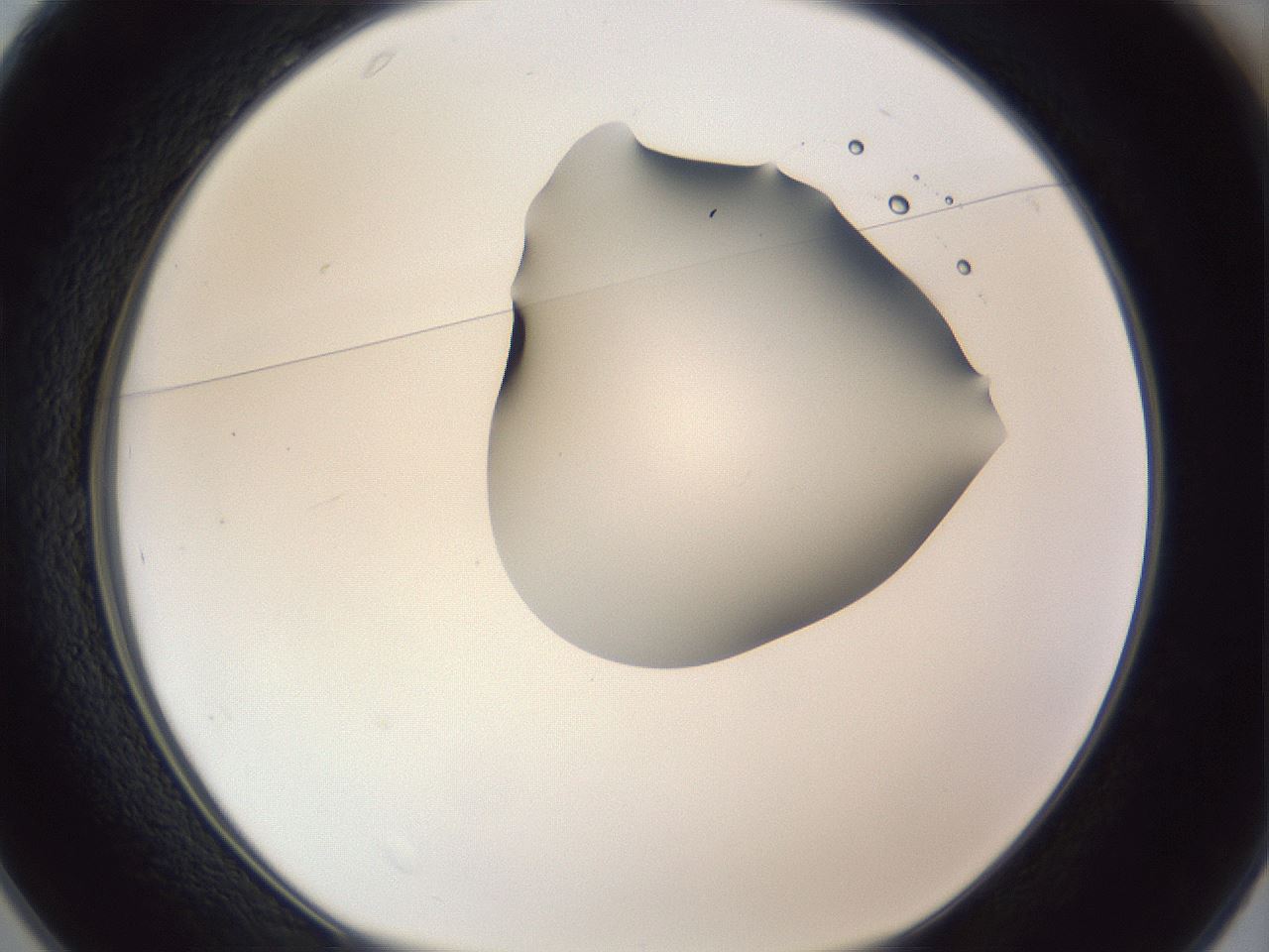 folderID162_plateID1162_batchID3203_wellNum25_profileID1_d1_r62095_ef.jpg